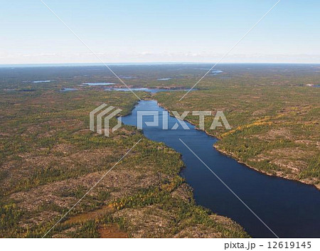 カナダ イエローナイフ ツンドラ地帯 カナダ イエローナイフ ツンドラ地帯 12619145