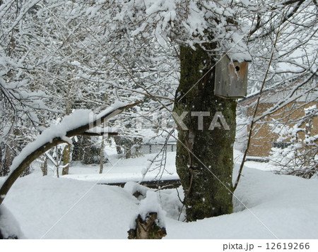 豪雪の山里 12619266