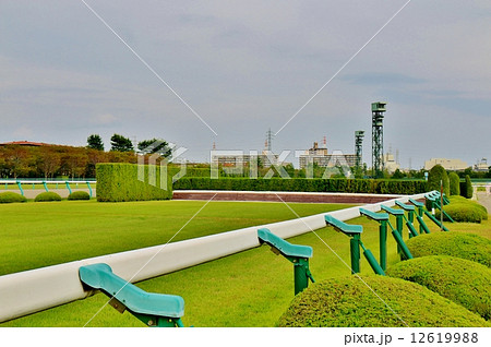 阪神競馬場 12619988