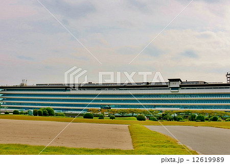 阪神競馬場 12619989