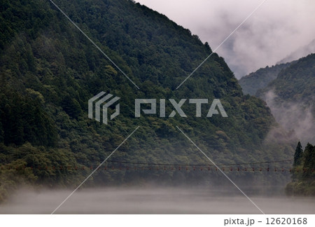 北山村の吊り橋 12620168