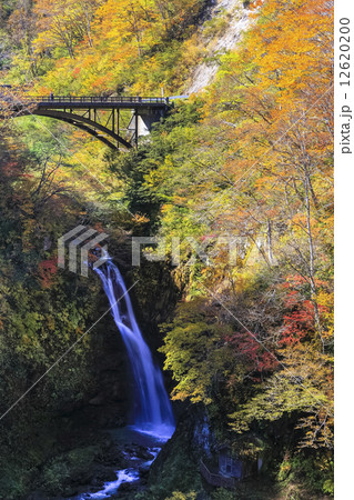 紅葉の不動滝3 12620200