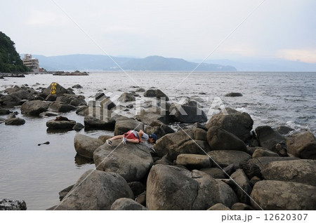 磯遊び 12620307