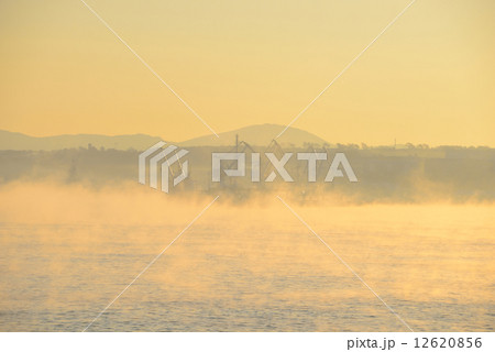 ロシア　コルサコフ 12620856