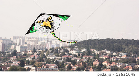 Kite flying - Bald eagle 12621048