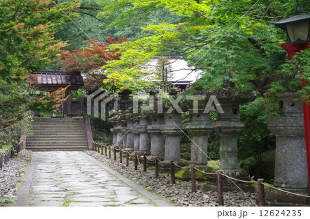 日光輪王寺灯篭群 12624235