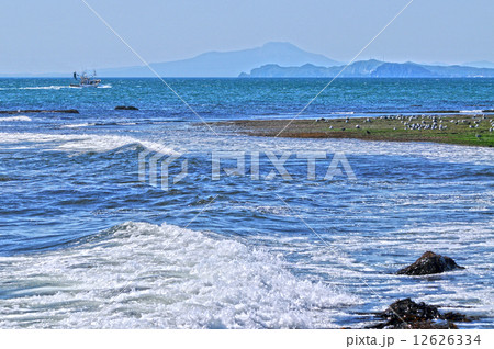 海辺の風景 12626334