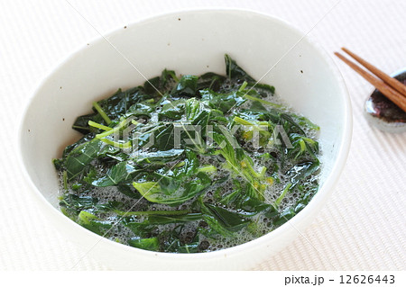 モロヘイヤ 12626443