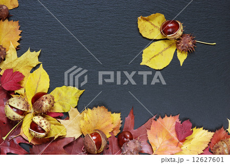 Autumn leaves Autumn leaves 12627601