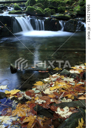 Colorful Leaves in front of Cascade on Satina River Colorful Leaves in front of Cascade on Satina River 12627666