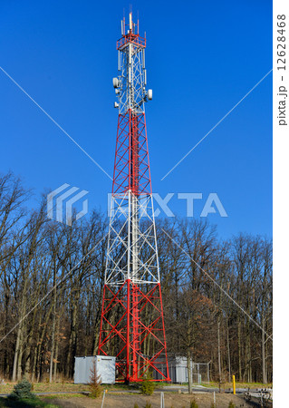 Radio tower in the forest 12628468
