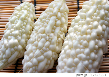 白ゴーヤ 12628904