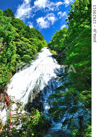 湯滝 湯滝 12629015