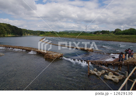 やな やな 12629130