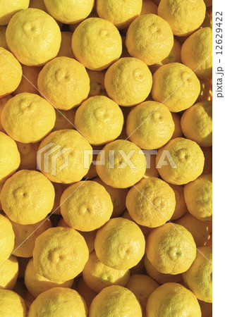 Yuzu - Stock Photo [12629422] - PIXTA