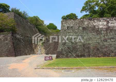 熊本城の石垣 12629470