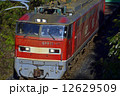 レッドサンダー快走！ 12629509