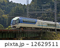 しまかぜ 12629511