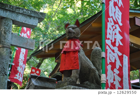 鎌倉　佐助稲荷神社 12629550