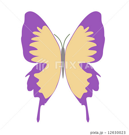 紫色の羽の蝶のイラストのイラスト素材