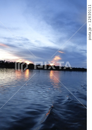 ザンベジ川クルージング 12630111