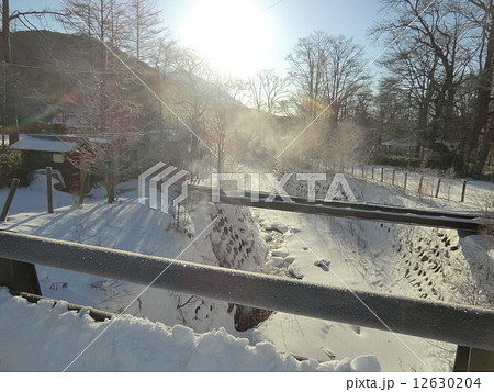 奥日光湯元温泉から湯の湖に温泉水が流れ込んでいる。 12630204