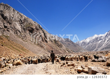 遊牧 遊牧 12630372