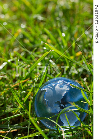 Glass globe in the grass  12631942