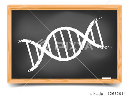Blackboard DNA 12632014