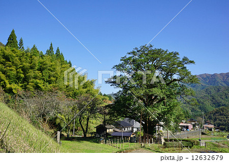 丘の上に立つ建屋のヒダリマキガヤ 12632679