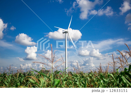 Wind Turbine Farm 12633151
