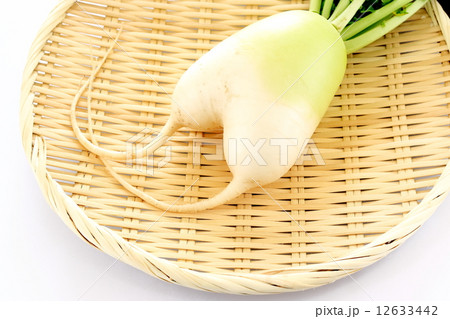 大根 大根 12633442
