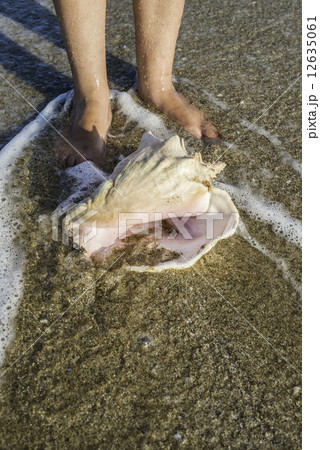 Shells on the beach. Foots in water 12635061