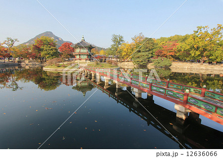 Gyeongbokgung Palace Royal Garden, Seoul, Korea 12636066