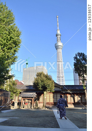 牛嶋神社より見る東京スカイツリー 牛嶋神社より見る東京スカイツリー 12638657
