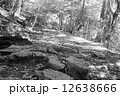滝坂道　柳生街道 12638666