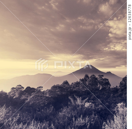 Java landscapes Java landscapes 12638778