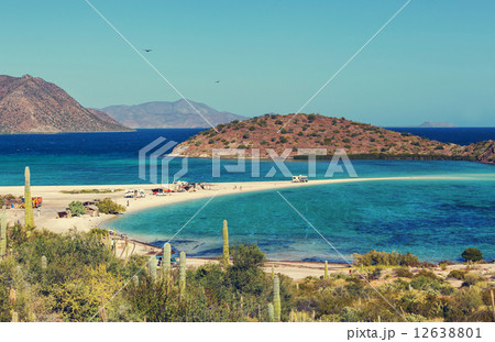 Baja California 12638801