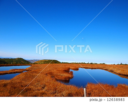 平ヶ岳の姫池 平ヶ岳の姫池 12638983