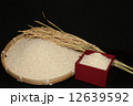 お米と稲穂 12639592