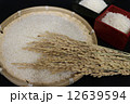 お米と稲穂 12639594