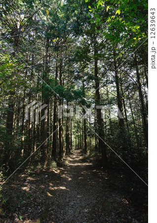 熊野古道 12639643