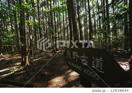 熊野古道 熊野古道 12639644