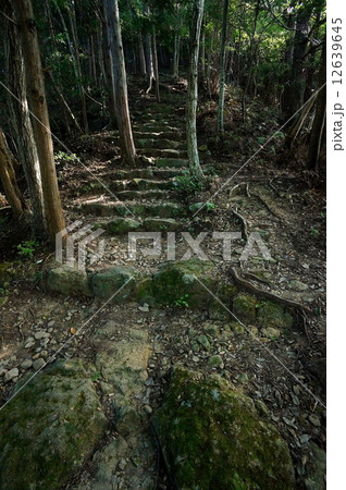 熊野古道 12639645