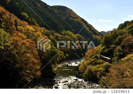 渓谷鉄道の紅葉05 12639653