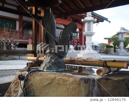 願昭寺 手水舎 願昭寺 手水舎 12640170