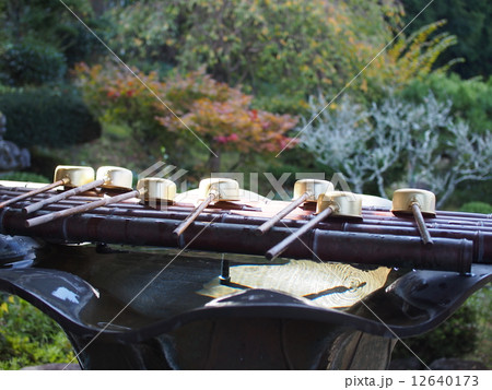 大野山 子安 阿弥陀寺　手水舎 12640173