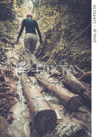 Woman hiker walking across river in a forest 12640236