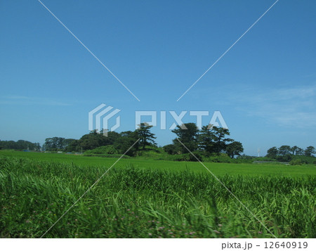 秋田県　象潟町　九十九島 12640919