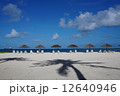 白い砂浜とヤシの木の陰 12640946